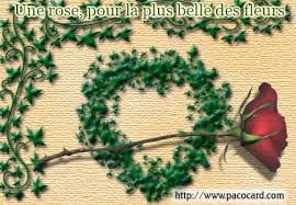 http://www.pacocard.com/carte-postale.php?theme=amour&carte=une-rose-pour-une-belle-fleur