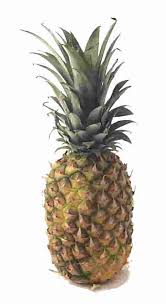 pineapple&amph94&ampw51&ampusg  jFvF7AAA0LxNzmSH82y4b2v6j0o