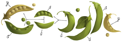 189ème anniversaire de Gregor Mendel