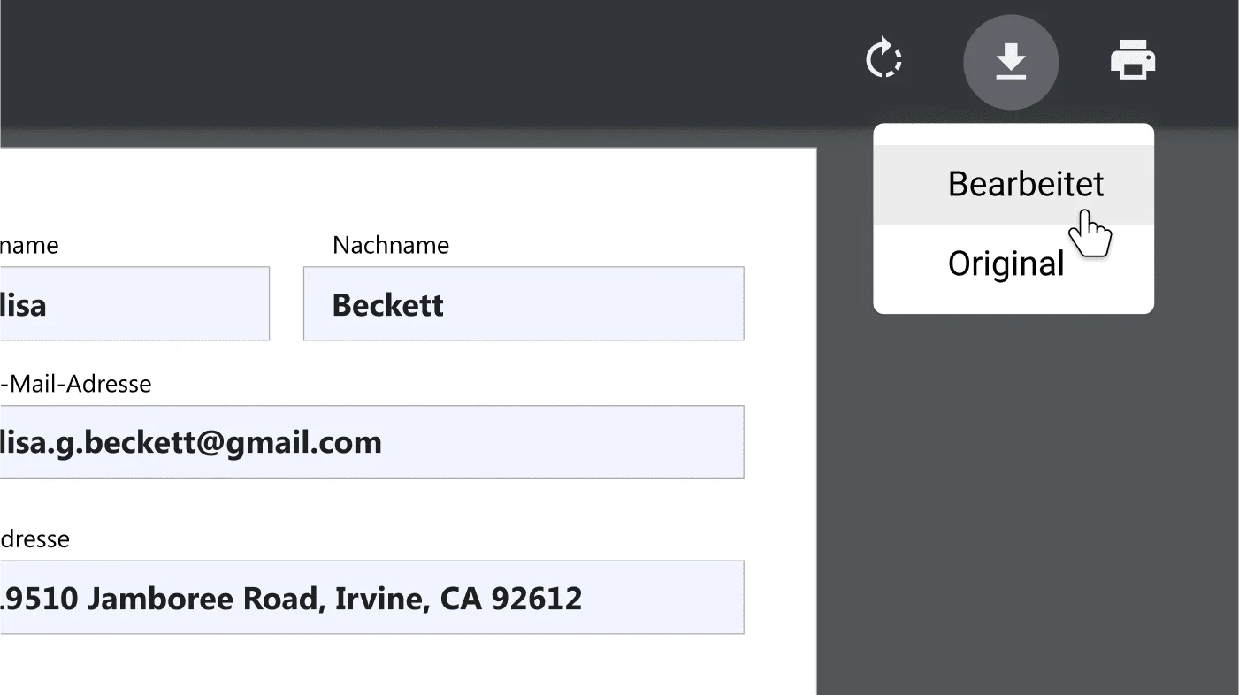 Chrome-Browserfenster mit einem geöffneten PDF-Dokument, in dem die Optionsmenüs zum Herunterladen und Drucken herangezoomt sind.
