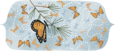 Google vous dit bonjour - Page 46 41st-anniversary-of-the-discovery-of-the-mountain-of-the-butterflies-5704071614824448.2-hp